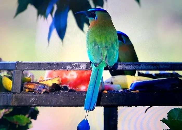 Сasa de vacaciones Colibri At Lakegardens